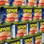 spam site lutter antispam akismet